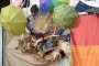 Thumbs/tn_Loungefest 2015 0464.jpg